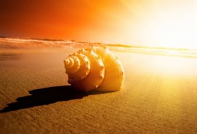 黄昏海边非主流图片